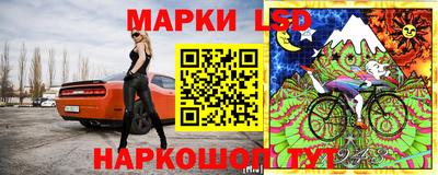 spice Гай
