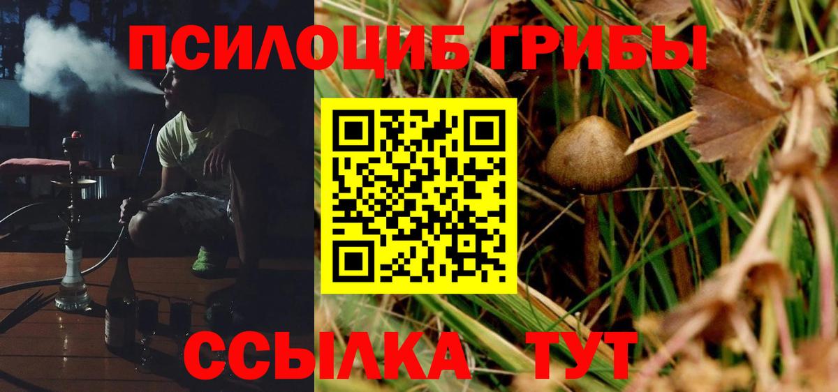 Бердск  Галлюциногенные грибы Magic Shrooms  Вход с VPN 